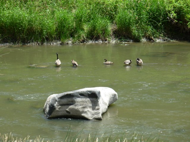 Summer '06 Sunriver 402 